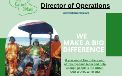 Opening for Director of Operation